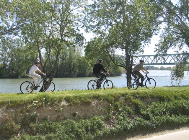  Mountainbiken in der Camargue 